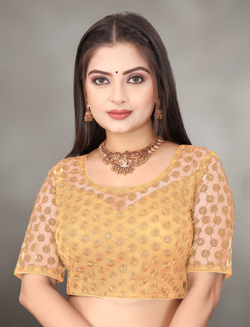 Modern Women Net Blouse with Fancy Back pattern and Embroidery and Sequenc Work, Readymade Blouse for women (Size from 30 to 38)