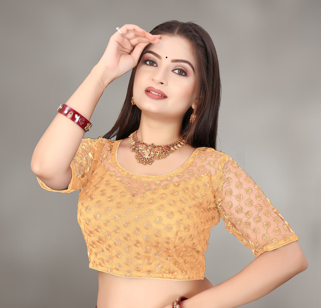 Modern Women Net Blouse with Fancy Back pattern and Embroidery and Sequenc Work, Readymade Blouse for women (Size from 30 to 38)