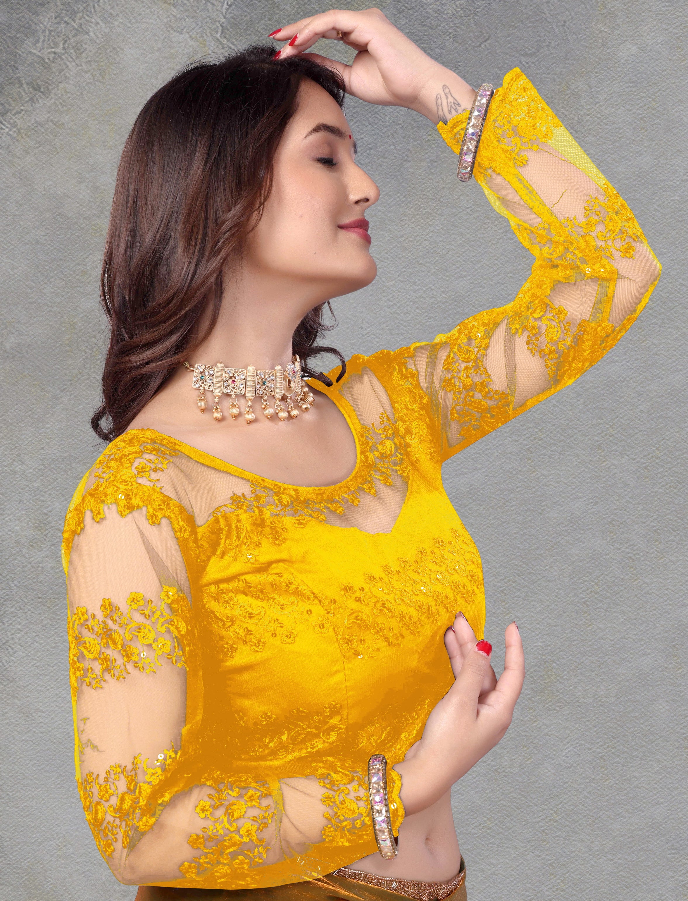 Latest Net Blouse with Stylist and Embroidery Work, Fancy Full Sleeves, Stylist Pattern Blouse, New Designing Blouse For Women